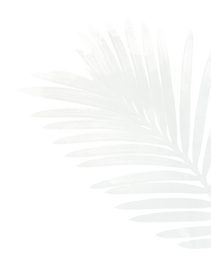 معرض الفيديو